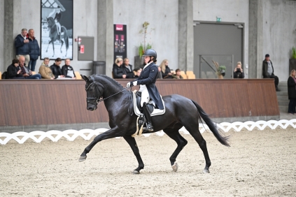 Højgaardens La Negro